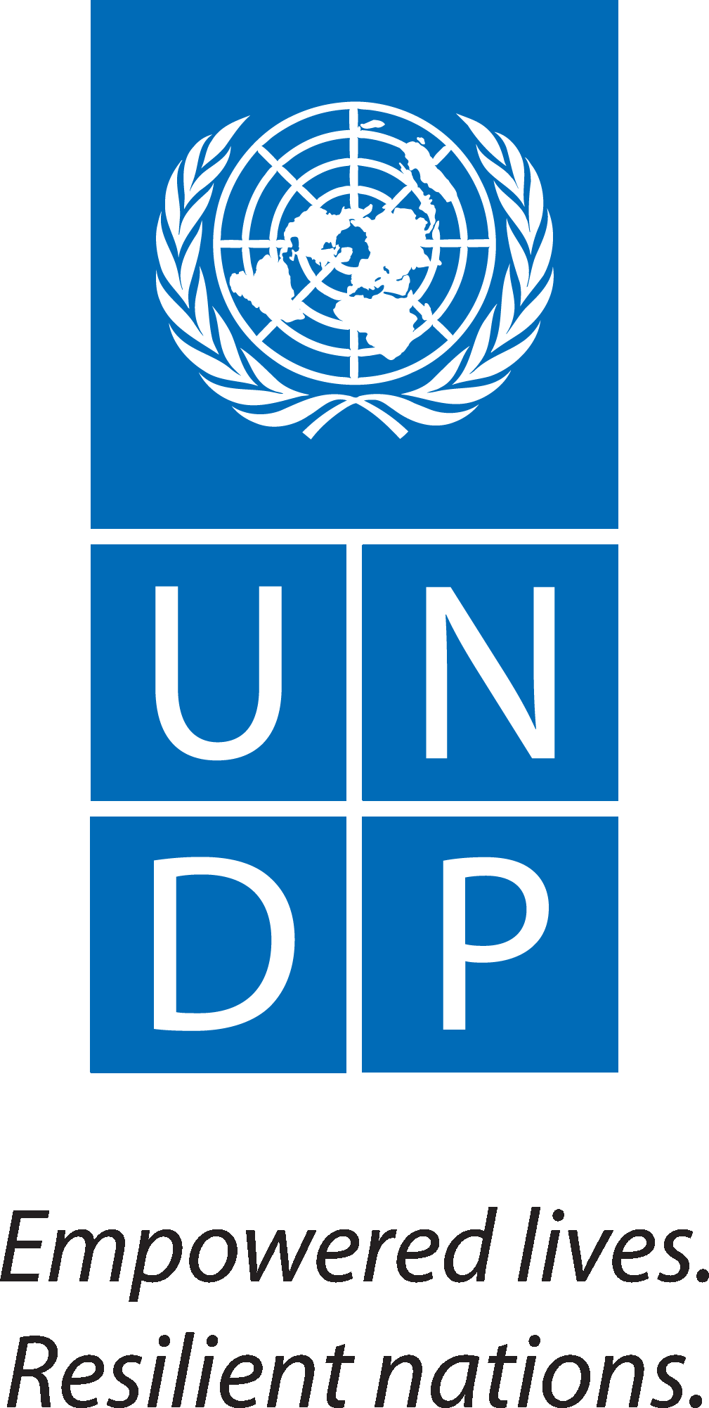 undp logo